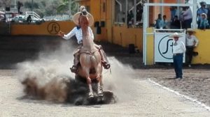 Cala de caballo2 CJGG