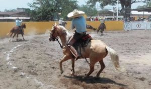 Mang a caballo cortesia Carmen Joss Gonzalez Gomez