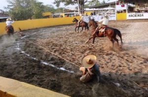 Mang a pie estatal Colima