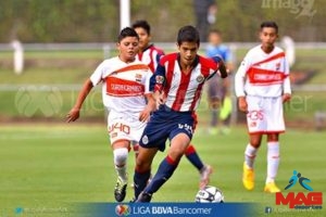 magdeportes S13 Torneo Verano 2016 Chivas8 4os 444 LuisFdo PuentePrado