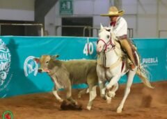 #Nacionalito2026: Defendera Corona Santa Cruz del Valle Ante San Lorenzo y Puente de Camotlán, en Infantil A