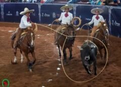 #Nacionalito2026: Apunta Agua Santa al Pentacampeonato Juvenil en Puebla 2026