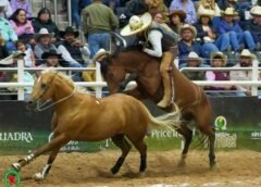 Hacen Historia Tamaulipecos, con Nuevo Registro en Nacional Charro ¡457 puntos! 