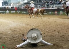 Fue Gallo de Oro en su Jornada Regionales de Progreso al Reanudar la AAA en Nacional #NitoAceves #SLP2026 
